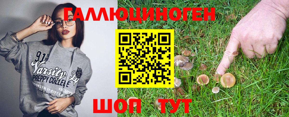 Галлюциногенные грибы Magic Shrooms Мегион