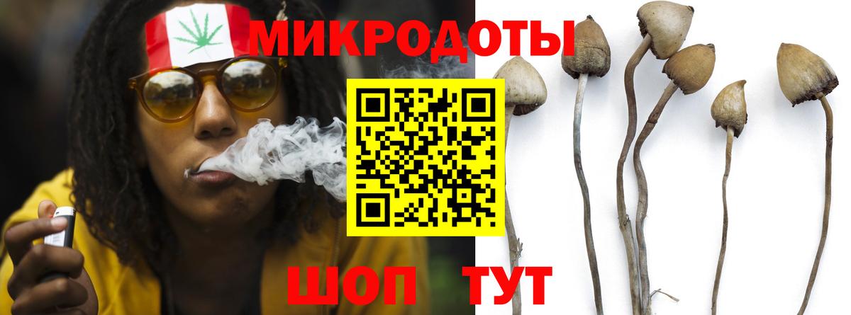Псилоцибиновые грибы мухоморы  Галлюциногенные грибы Psilocybe  Мегион  Вход с VPN 